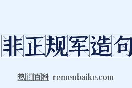 非正规军造句是什么意思的图片